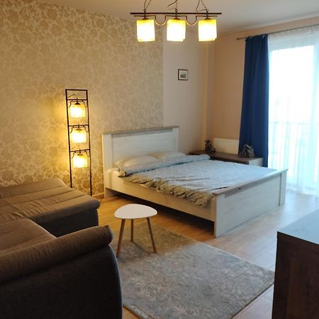 Central Apartment In Mihai Viteazu Square 克卢日-纳波卡 外观 照片