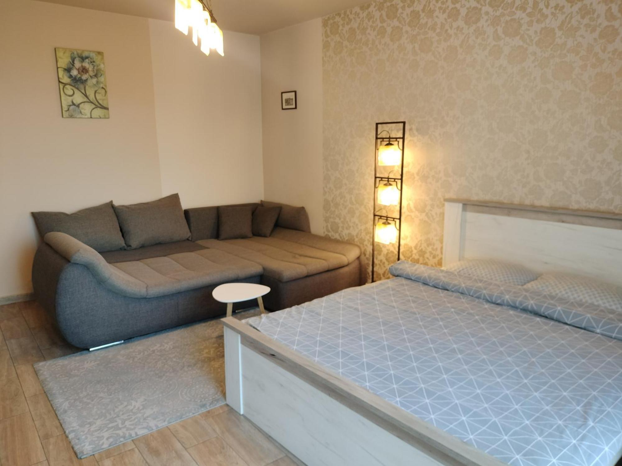 Central Apartment In Mihai Viteazu Square 克卢日-纳波卡 外观 照片