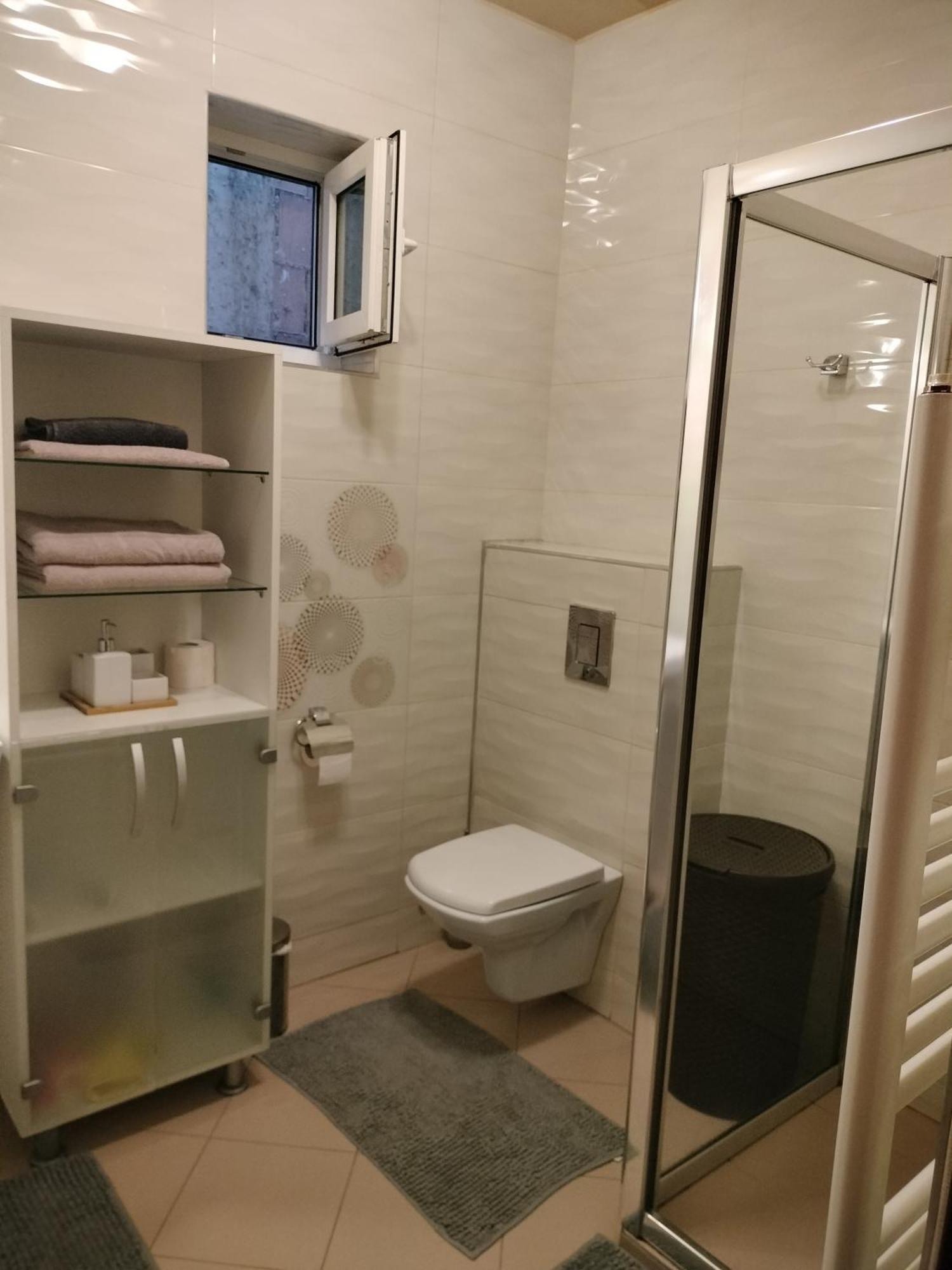 Central Apartment In Mihai Viteazu Square 克卢日-纳波卡 外观 照片