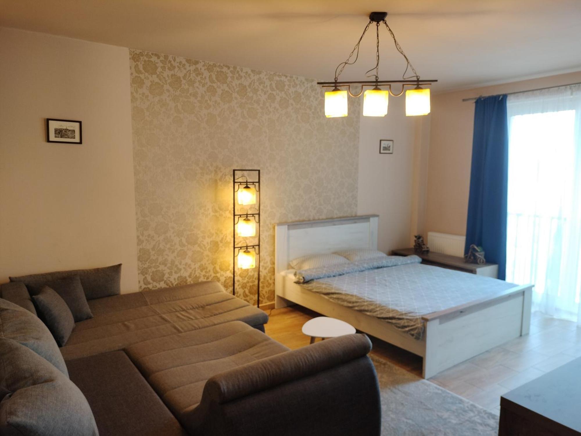 Central Apartment In Mihai Viteazu Square 克卢日-纳波卡 外观 照片