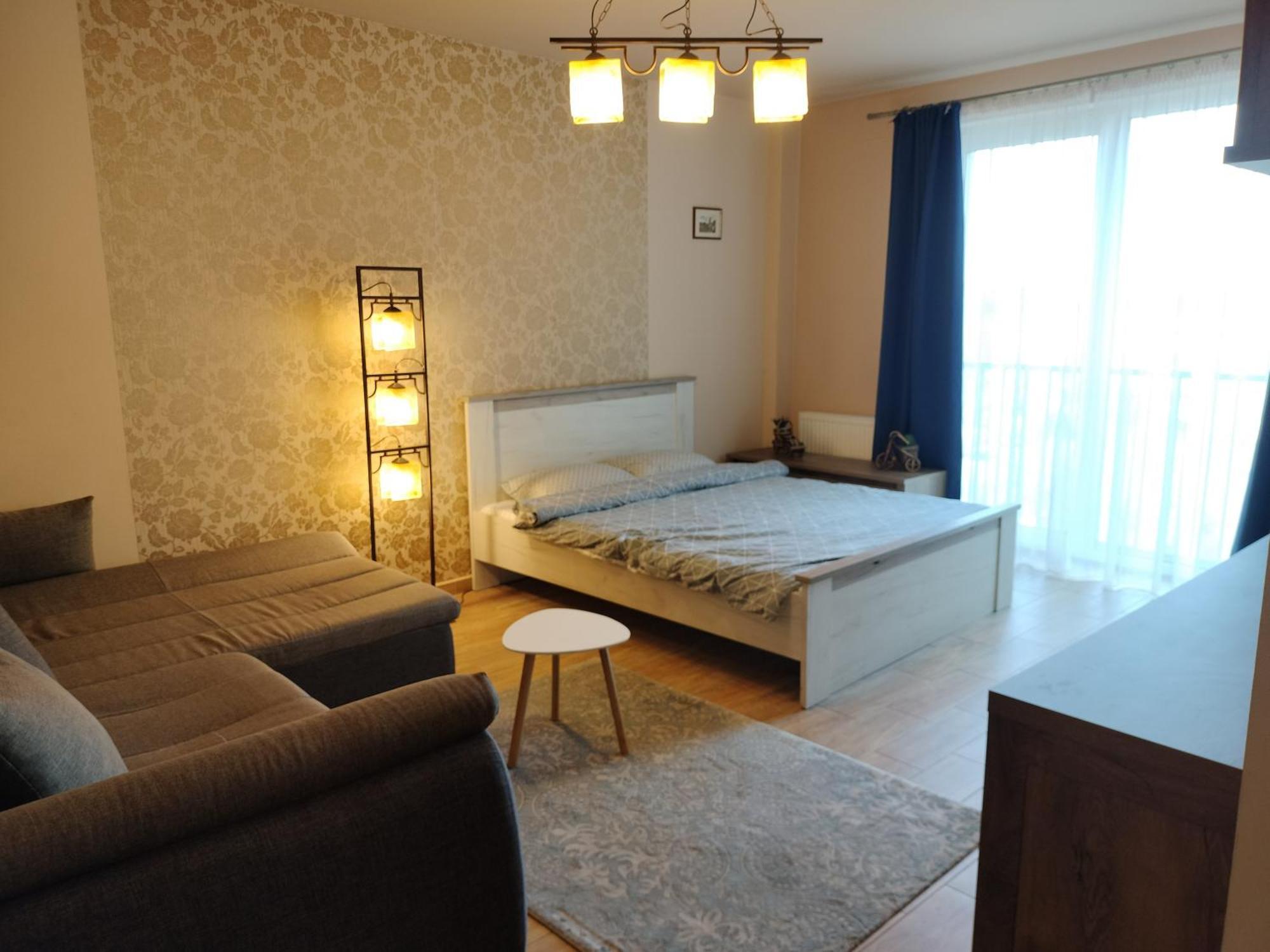 Central Apartment In Mihai Viteazu Square 克卢日-纳波卡 外观 照片